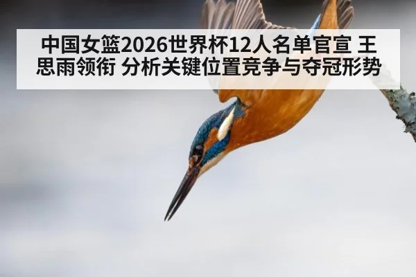 中国女篮2026世界杯12人名单官宣 王思雨领衔 分析关键位置竞争与夺冠形势